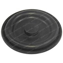 DIAPHRAGM 320/07606