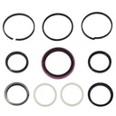 SEAL KIT HYDR. 448/17205