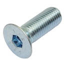 HEXAGON SOCKET HEAD CAP SCREW 826/01607