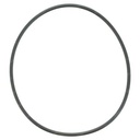 O-RING 002445AA