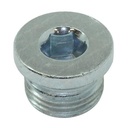 METAL PLUG 025437