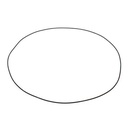O-RING 027667