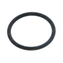 O-RING 028737