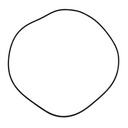 O-RING 061734