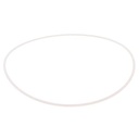 BACKUP RING 062931