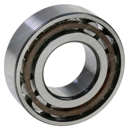 ROLLER BEARING 069760 for MERLO