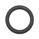 O-RING 072971