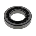 BALL BEARING 091577
