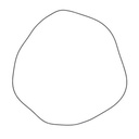 O-RING 100824