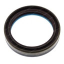 ROTARY SHAFT OIL SEAL 100980