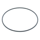 O-RING 113036