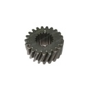 GEAR 24955