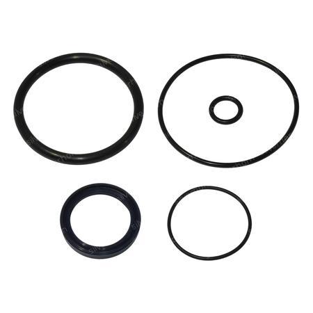 SEAL KIT HYDR. 37446 for MERLO