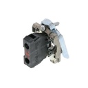 BULB DASHBOARD 53732