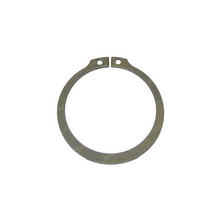 RETAINING RING 7303 for MERLO