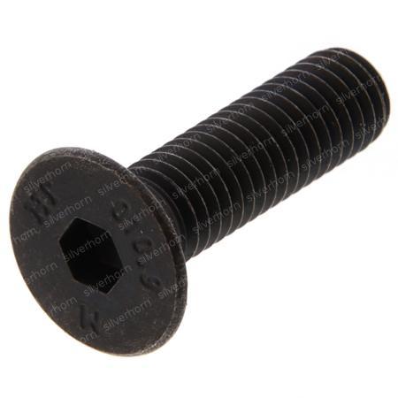 HEXAGON SOCKET HEAD CAP SCREW 850423 for MERLO