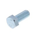 HEXAGON HEAD BOLT 850491