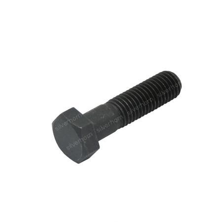 HEXAGON HEAD BOLT 850580 for MERLO