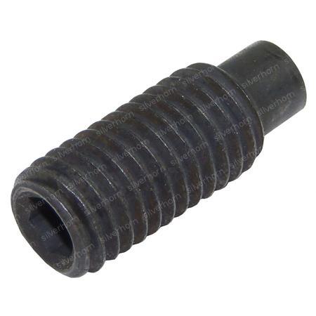 SCREW 850843 for MERLO