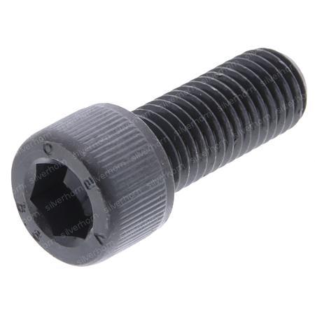 HEXAGON SOCKET HEAD CAP SCREW 851199 for MERLO