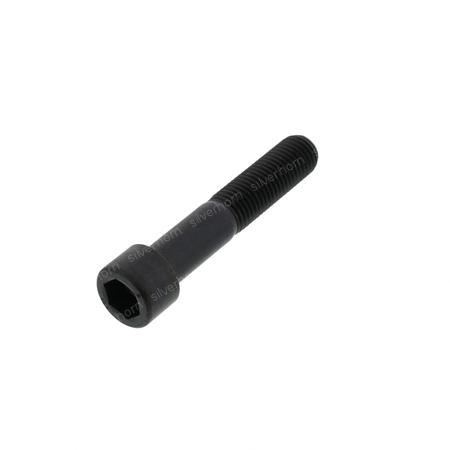 HEXAGON SOCKET HEAD CAP SCREW 851231 for MERLO