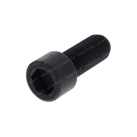 HEXAGON SOCKET HEAD CAP SCREW 851249 for MERLO