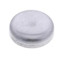 FREEZE PLUG 106027