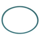 WIPER RING 109663