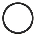 O-RING 190019