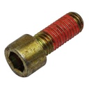 HEXAGON SOCKET HEAD CAP SCREW 255616
