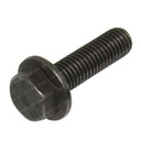 HEXAGON HEAD BOLT 309981
