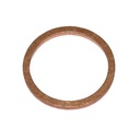 SEALING RING 4271