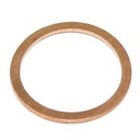 SEALING RING 474711