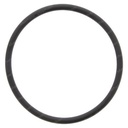 O-RING 48384