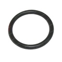 O-RING 485034