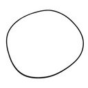 O-RING 513639
