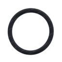 O-RING 53001713