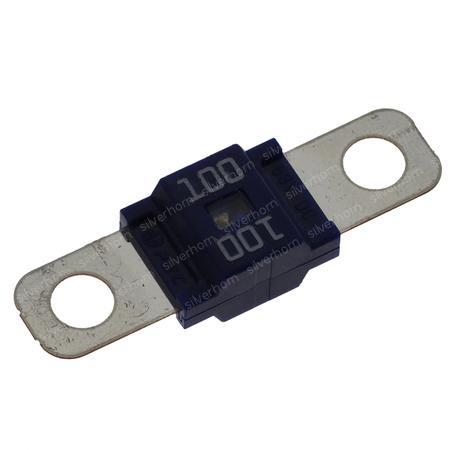 FUSE 53019800 for MANITOU