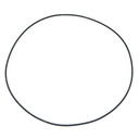 O-RING 549296