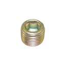 METAL PLUG 551303