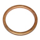 SEALING RING 552514