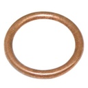 SEALING RING 564397