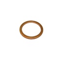 SEALING RING 565001