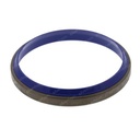 WIPER RING 579849