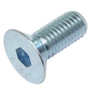 HEXAGON SOCKET HEAD CAP SCREW 600670