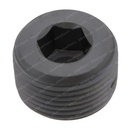METAL PLUG 604883