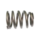 VALVE AND TRANSMISSION SPRING 604918