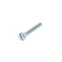 SCREW 60765