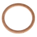 SEALING RING 710899