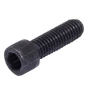 HEXAGON SOCKET HEAD CAP SCREW 73205